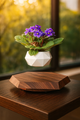 Modern Home Décor