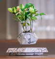 Elegant Levitating Planter for Home Décor